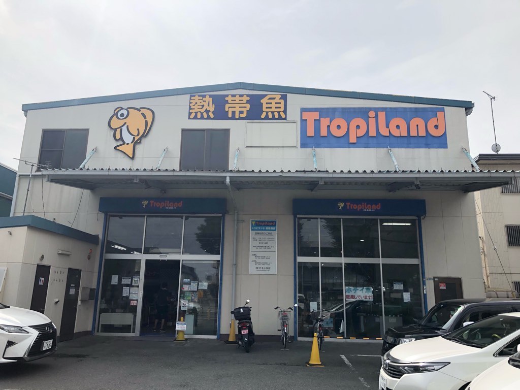 Tropiland