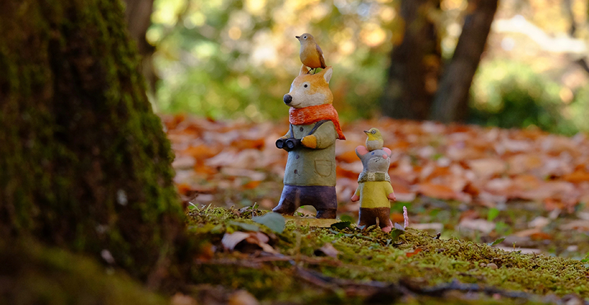 「とりをさがす」　秋草 愛 作品展